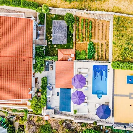 Citrus Reef Vila